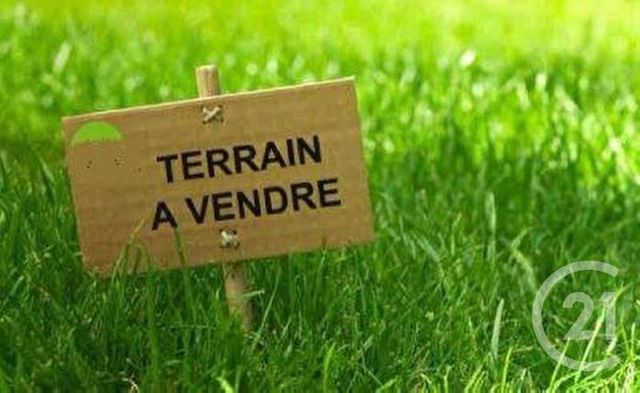 terrain - CLERY ST ANDRE - 45