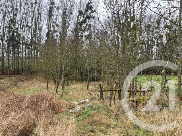 Maison &agrave; vendre - 5 pi&egrave;ces - 92,54 m2 - Mareau Aux Pres - 45 - CENTRE