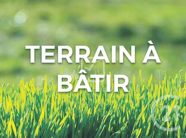 terrain - CLERY ST ANDRE - 45