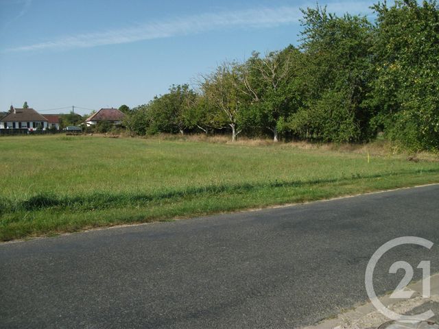 Terrain à vendre - 2478 m2 - Cravant - 45 - CENTRE