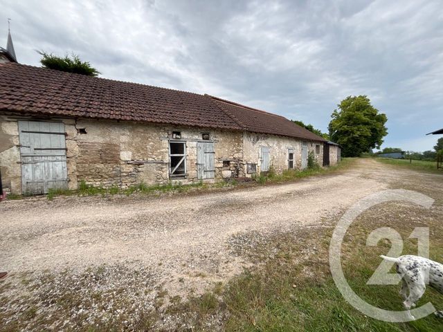 Maison à vendre - 12 pièces - 371,26 m2 - Tavers - 45 - CENTRE