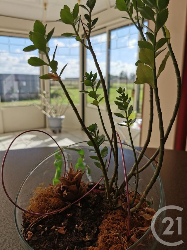 Maison &agrave; vendre - 6 pi&egrave;ces - 137 m2 - Beaugency - 45 - CENTRE